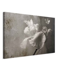 Paveikslas Venecijos didybė