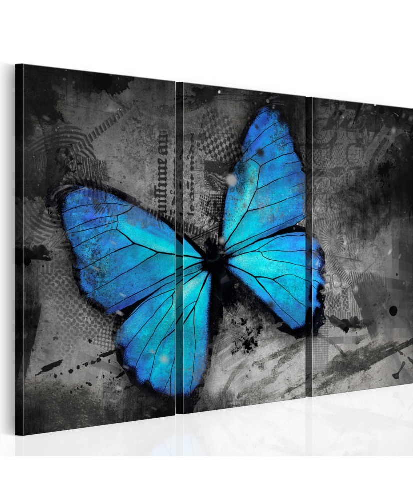 Paveikslas  The study of butterfly  triptych