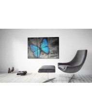 Paveikslas  The study of butterfly  triptych