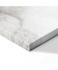 Paveikslas Šviesa gamtos pakrašty