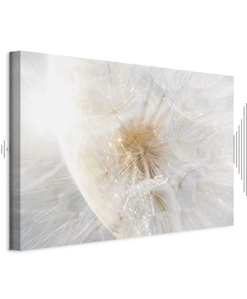 Paveikslas Kiaulpienių saulė