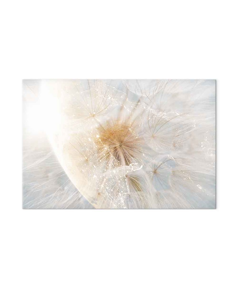 Paveikslas Kiaulpienių saulė