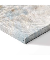 Paveikslas Kiaulpienių saulė