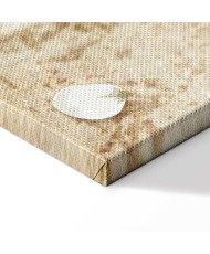 Paveikslas Krintančios gėlės