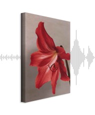 Paveikslas Raudona gėlė