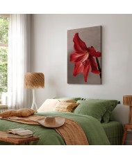 Paveikslas Raudona gėlė