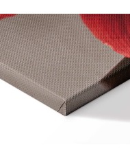 Paveikslas Raudona gėlė