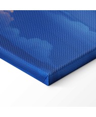 Paveikslas Dangaus spalvų žaismas