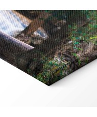 Paveikslas Buda prie krioklio