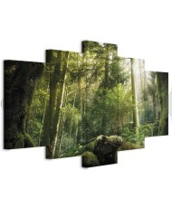 Paveikslas Miško grožis