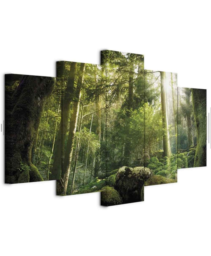 Paveikslas Miško grožis