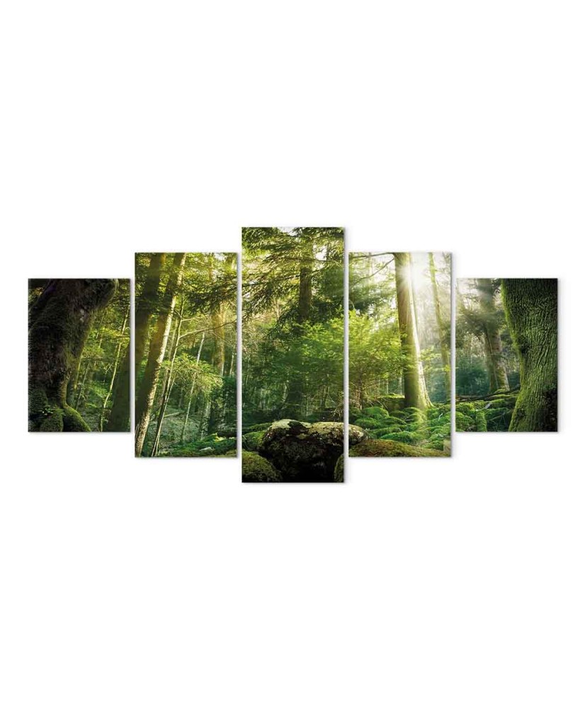 Paveikslas Miško grožis