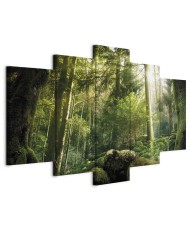 Paveikslas Miško grožis