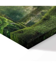 Paveikslas Miško grožis