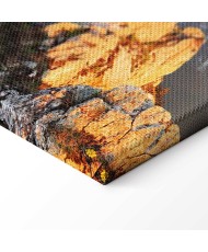 Paveikslas Saulės pasveikinimas