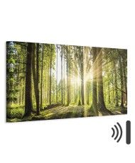 Paveikslas Dienos šviesa