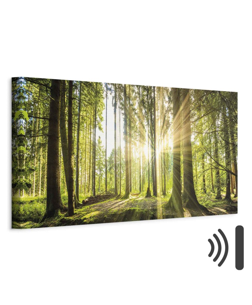 Paveikslas Dienos šviesa