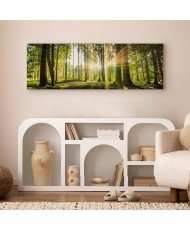 Paveikslas Dienos šviesa