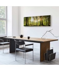 Paveikslas Dienos šviesa