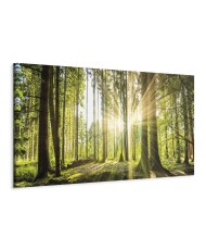 Paveikslas Dienos šviesa