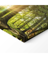 Paveikslas Dienos šviesa