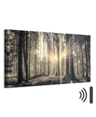 Paveikslas Miško saulė