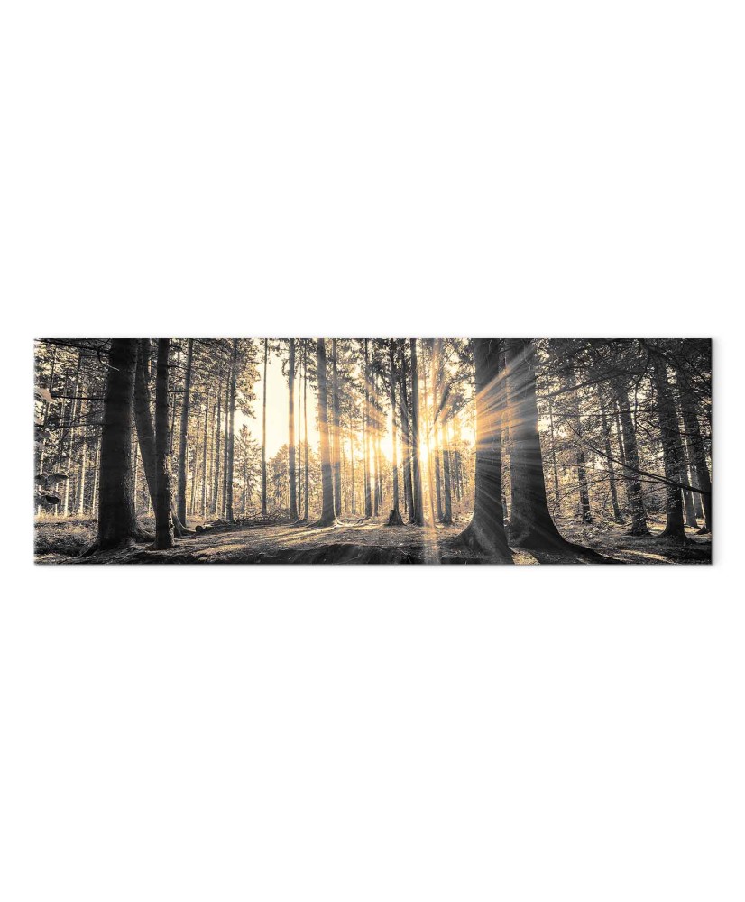 Paveikslas Miško saulė