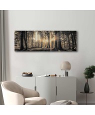 Paveikslas Miško saulė