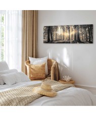 Paveikslas Miško saulė