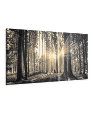 Paveikslas Miško saulė