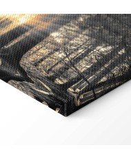 Paveikslas Miško saulė