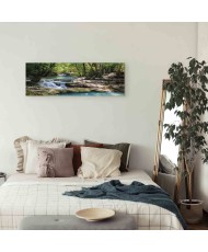 Paveikslas Miškas ir krioklys