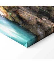 Paveikslas Miškas ir krioklys