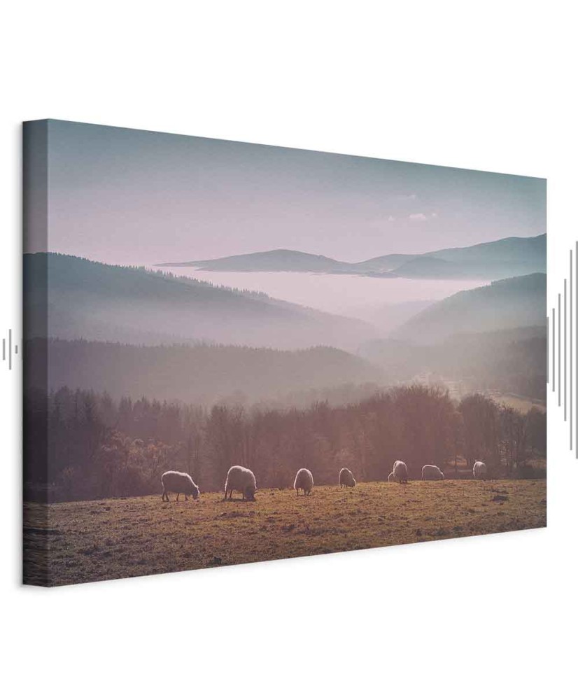 Paveikslas Avys kalnų peizaže