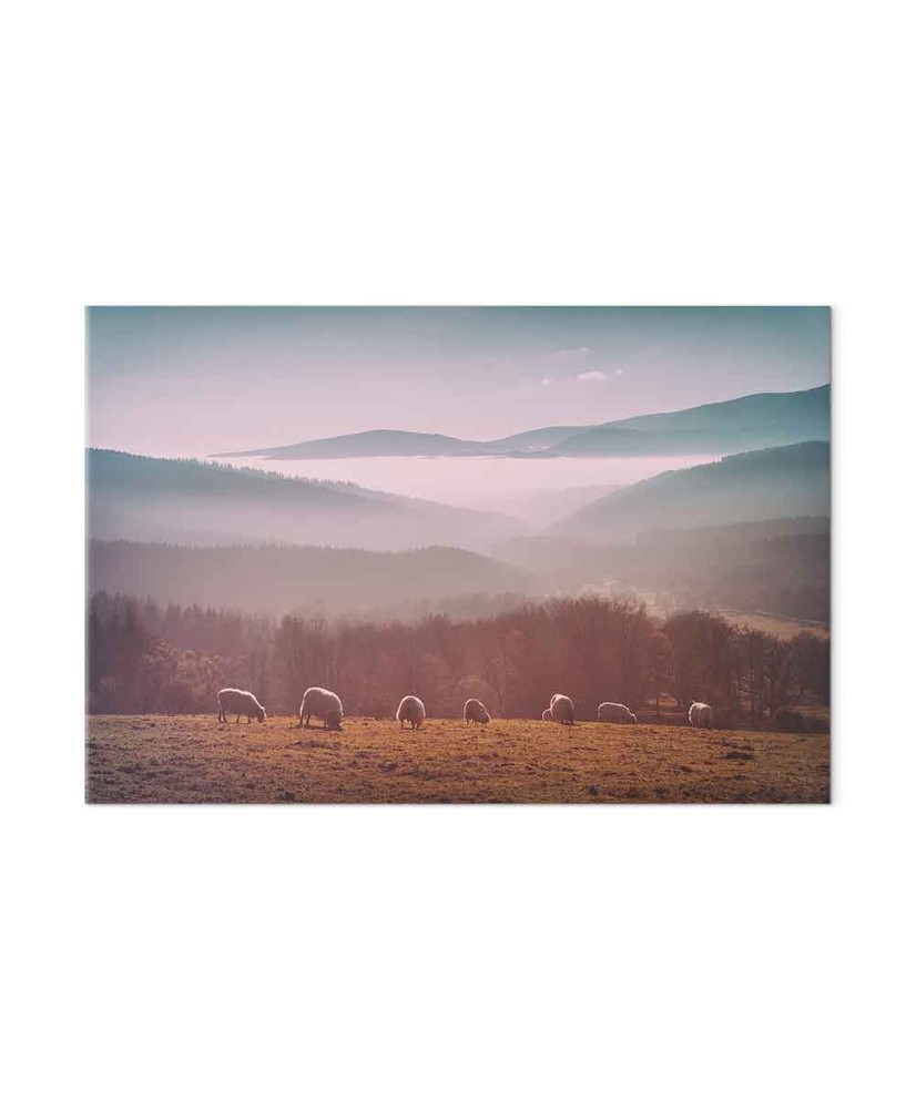 Paveikslas Avys kalnų peizaže