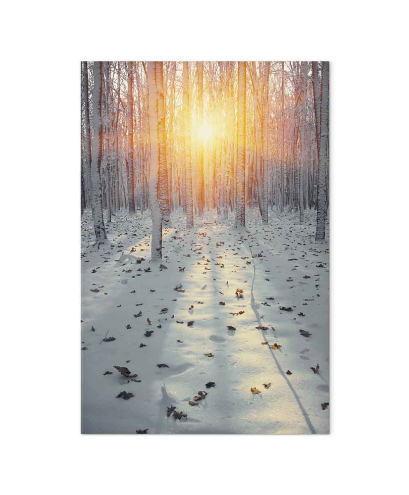 Paveikslas Žiemos popietė