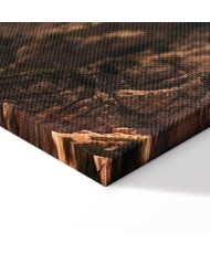 Paveikslas Kalnų horizontas