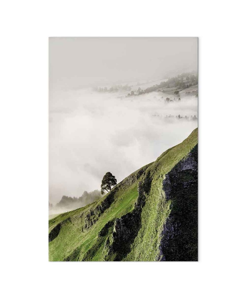 Paveikslas Medis virš debesų