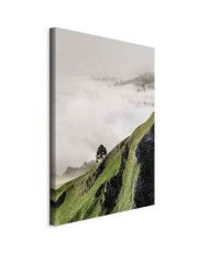 Paveikslas Medis virš debesų