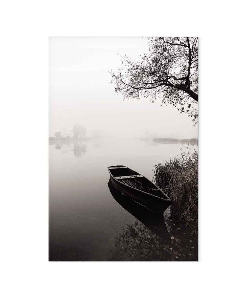 Paveikslas Prieglobstis po medžiu