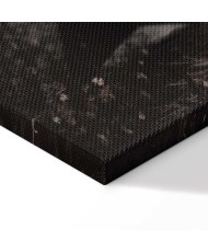 Paveikslas Prieglobstis po medžiu