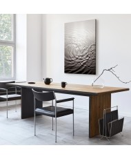 Paveikslas Vandens paviršius