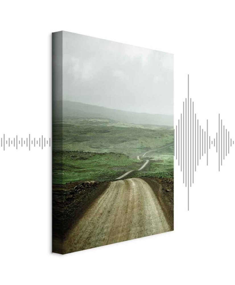 Paveikslas Kelias per lygumas