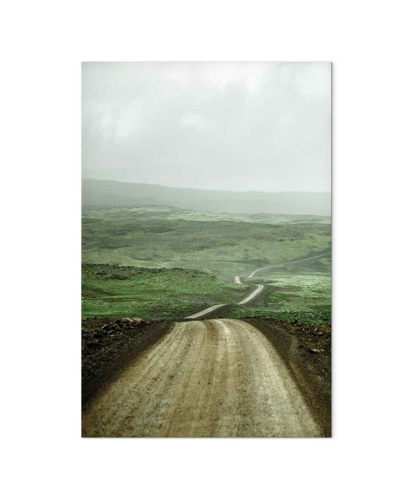 Paveikslas Kelias per lygumas