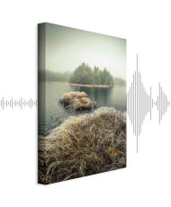 Paveikslas Rudens pelkės