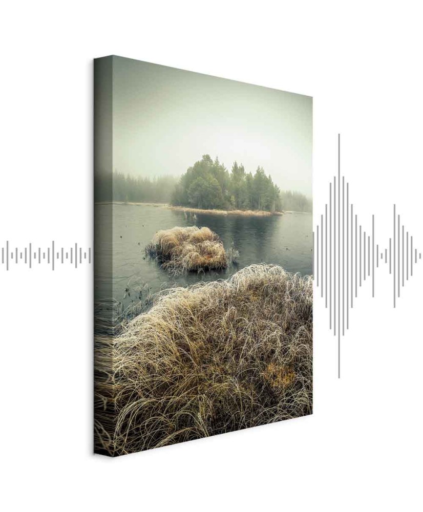 Paveikslas Rudens pelkės