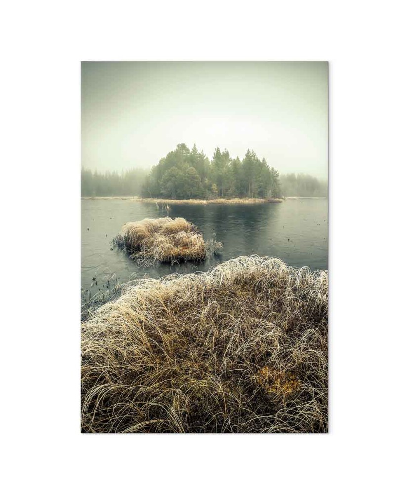 Paveikslas Rudens pelkės