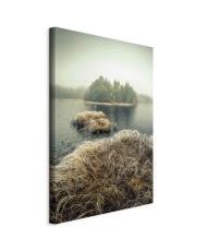 Paveikslas Rudens pelkės