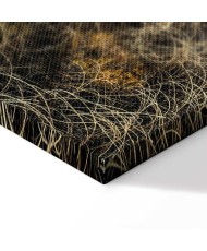 Paveikslas Rudens pelkės