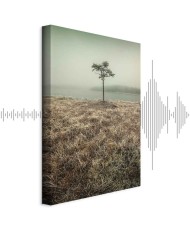 Paveikslas Ežero krantas